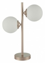 Настольная лампа декоративная ST-Luce Redjino SLE106204-02