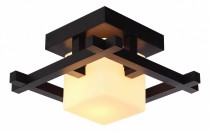 Накладной светильник Woods A8252PL-1CK Arte Lamp