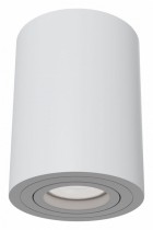 Накладной светильник Maytoni Alfa C016CL-01W