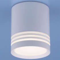 Накладной светильник Elektrostandard DLR032 a041262