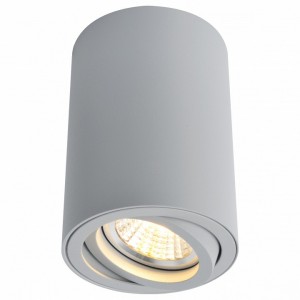 AR_A1560PL-1GY Накладной светильник 1560 A1560PL-1GY Arte Lamp Накладной светильник 1560 A1560PL-1GY Arte Lamp