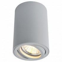 Накладной светильник 1560 A1560PL-1GY Arte Lamp