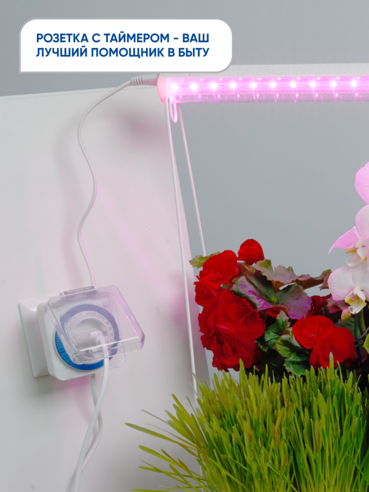 Розетка с таймером Feron TM31 суточная мощность 3500W/16A IP44, артикул FERON 23204