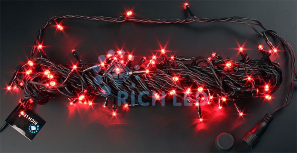 Светодиодная гирлянда 10 м, 24 вольта, красный, черный провод Rich LED RL-S10C-24V-B/R 