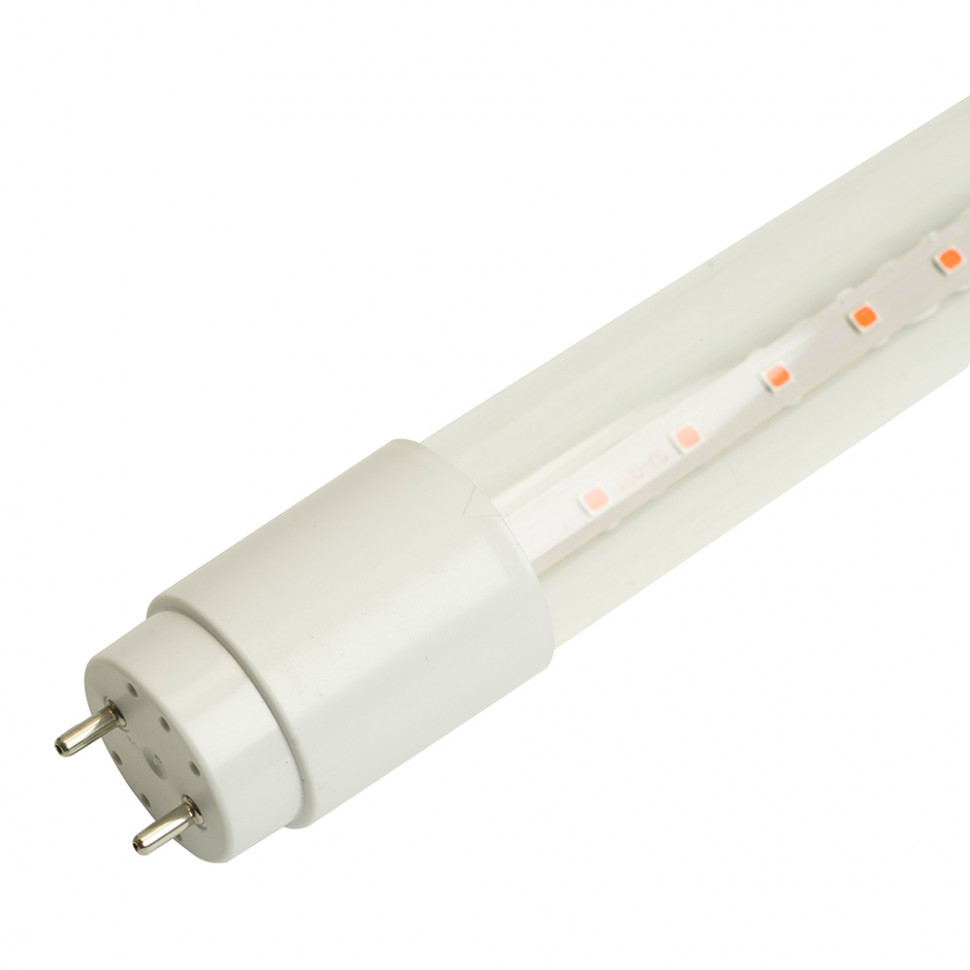 Лампа светодиодная для растений T8 Feron LB-7063 G13 стекло 0,6м 11W 175-265V красно-синий спектр, артикул FERON 51662