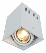 Накладной светильник Cardani A5942PL-1WH Arte Lamp