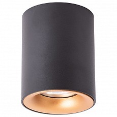 AR_A1532PL-1BK Накладной светильник Arte Lamp Torre A1532PL-1BK 