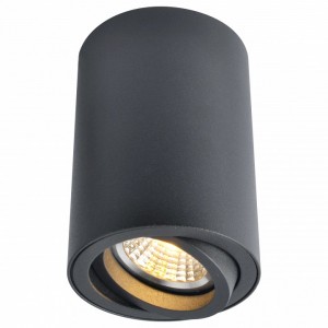 AR_A1560PL-1BK Накладной светильник Arte Lamp 1560 A1560PL-1BK 