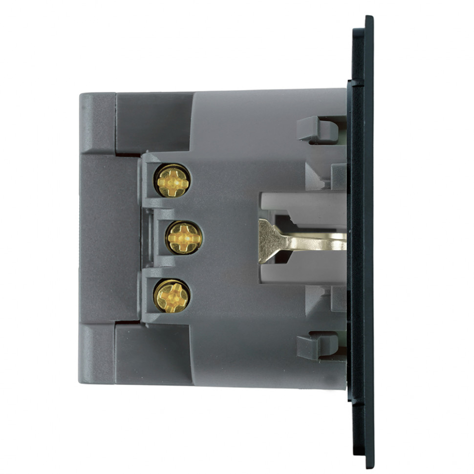 Розетка 1-местная з/ш с/з 16А + USB + Type C (механизм), STEKKER, 250В, 20W, серия Мия, RST16-3119-05, черный бархат, артикул STEKKER 50452